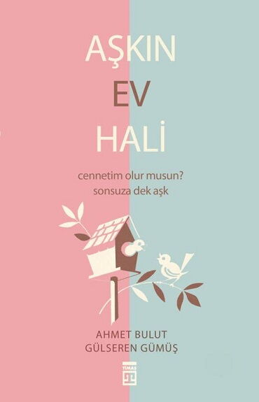 AŞKIN EV HALİ            