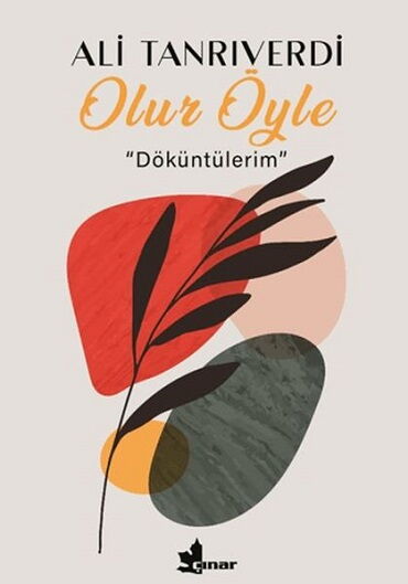 OLUR ÖYLE DÖKÜNTÜLERİM