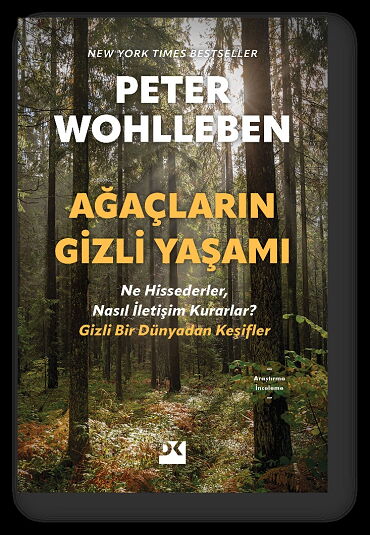 AĞAÇLARIN GİZLİ YAŞAMI
