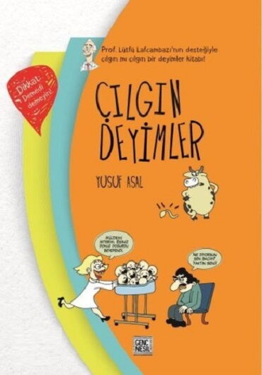 ÇILGIN DEYİMLER CİLTLİ