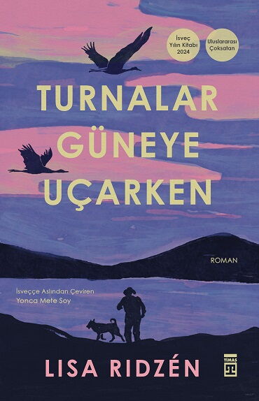 TURNALAR GÜNEYE UÇARKEN