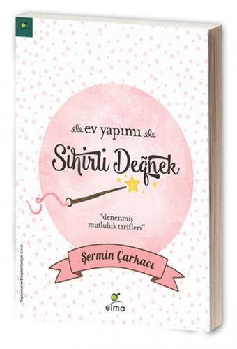 EV YAPIMI SİHİRLİ DEĞNEK
