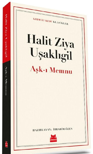 AŞKI MEMNU