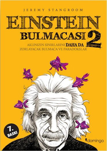 EİNSTEİN BULMACASI 2