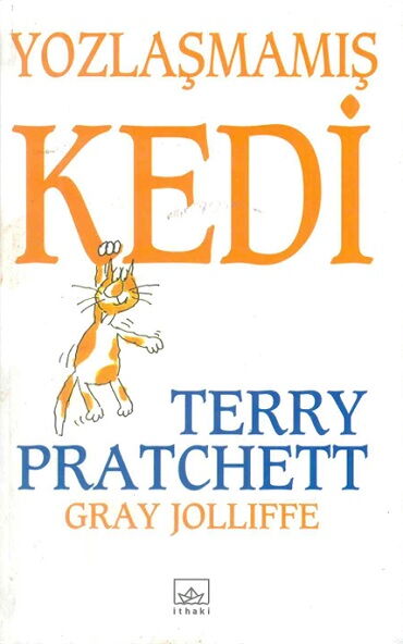 YOZLAŞMAMIŞ KEDİ 