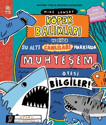 KÖPEK BALIKLARI VE DİĞER SU ALTI CANLILARI HAKKIND