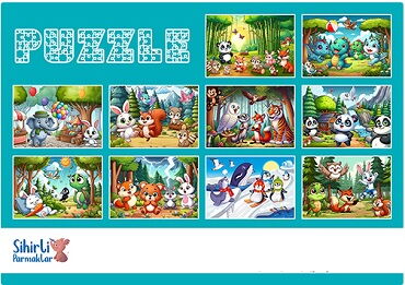 PUZZLE KARTON 10 ÇEŞİT 35 parça