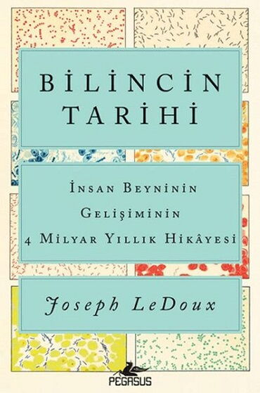 BİLİNCİN TARİHİ