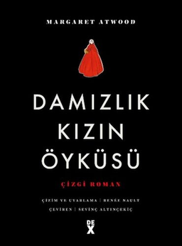 DAMIZLIK KIZIN ÖYKÜSÜ ÇİZGİ ROMAN
