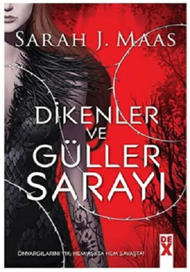 DİKENLER VE GÜLLER SARAYI 1