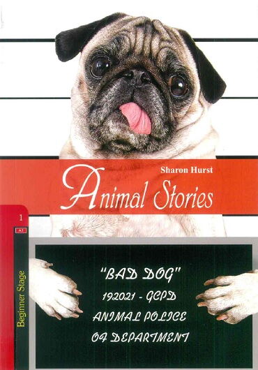 STAGE 1 ANİMAL STORİES