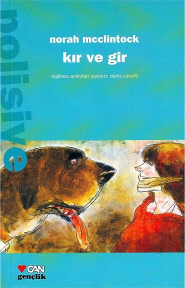 KIR VE GİR