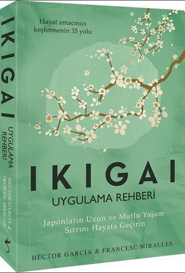 IKIGAI UYGULAMA REHBERİ