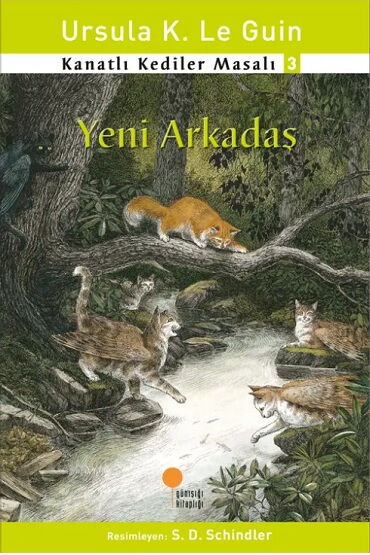 YENİ ARKADAŞ