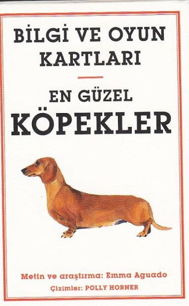 BİLİM VE OYUN KARTLARI EN GÜZEL KÖPEKLER