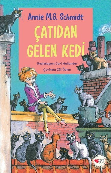 ÇATIDAN GELEN KEDİ