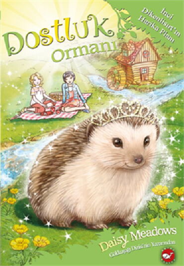 DOSTLUK ORMANI  6-İNCİ DİKENLİSIRTIN HARİKA PLANI