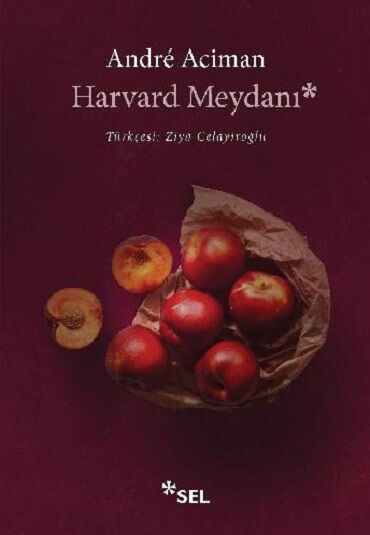 HARVARD MEYDANI