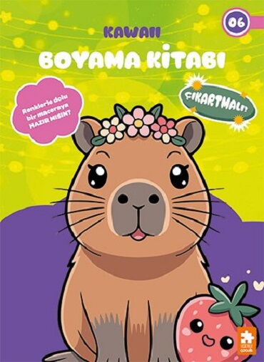 KAWAİİ BOYAMA KİTABI 6