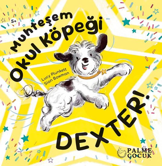 MUHTEŞEM OKUL KÖPEĞİ DEXTER