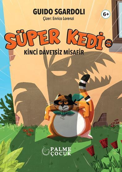 SÜPER KEDİ KİNCİ DAVETSİZ MİSAFİR