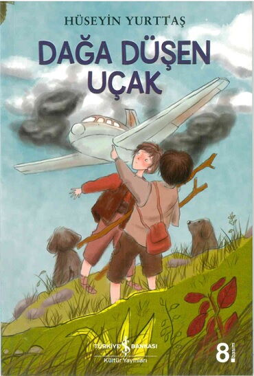 DAĞA DÜŞEN UÇAK