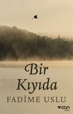 BİR KIYIDA