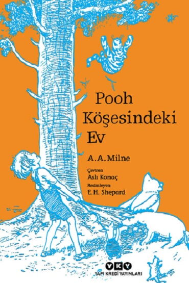 POOH KÖŞESİNDEKİ EV
