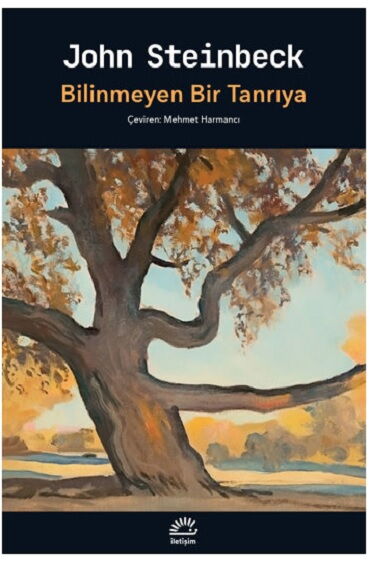 BİLİNMEYEN BİR TANRIYA