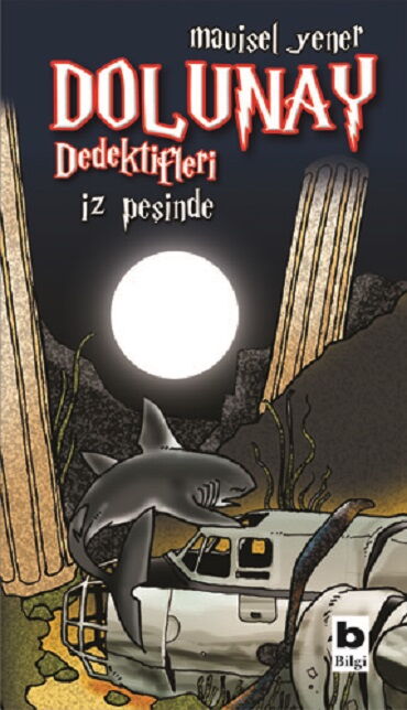 DOLUNAY DEDEKTİFLERİ 1 İZ PEŞİNDE