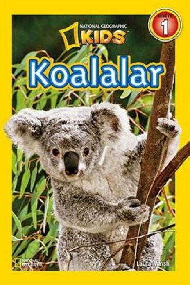 KOALALAR 1 NATİONAL GEOGRAPHİC 