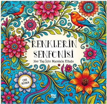 RENKLERİN SENFONİSİ HER YAŞ İÇİN MANDALA ÇEK KOPAR