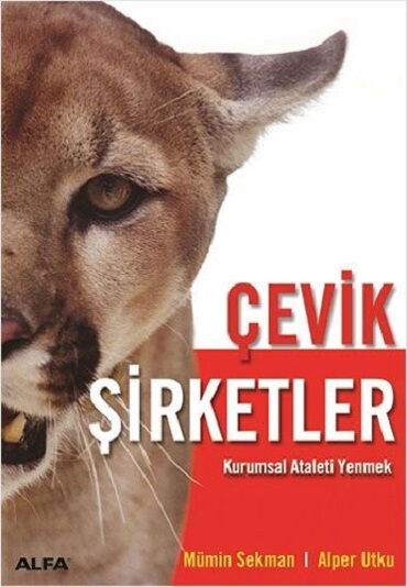 ÇEVİK ŞİRKETLER KURUMSAL ATALETİ   