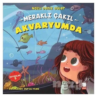 MERAKLI ÇAKIL AKVARYUMDA