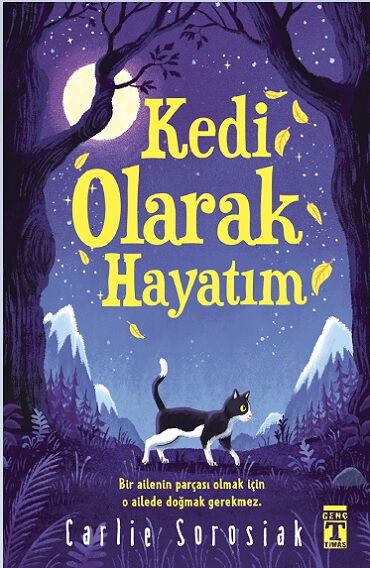 KEDİ OLARAK HAYATIM