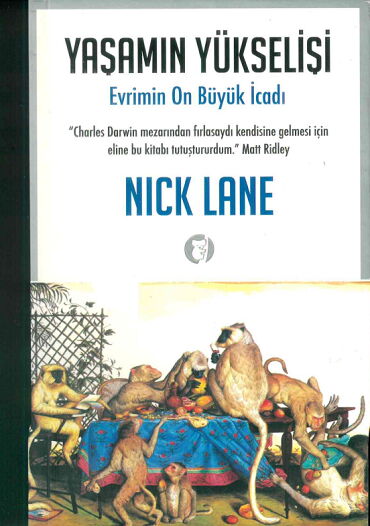 YAŞAMIN YÜKSELİŞİ EVRİMİN ON BÜYÜK İCADI