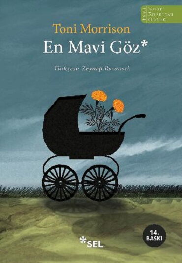 EN MAVİ GÖZ