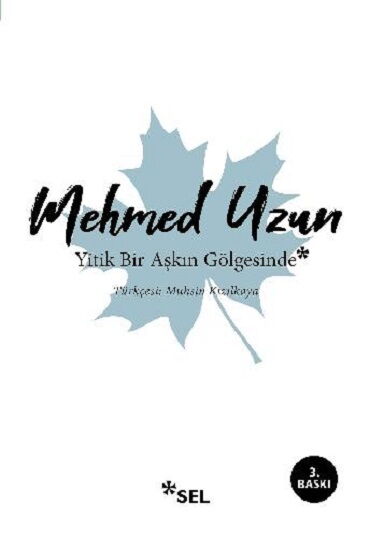 YİTİK BİR AŞKIN GÖLGESİNDE