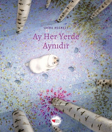 AY HER YERDE AYNIDIR