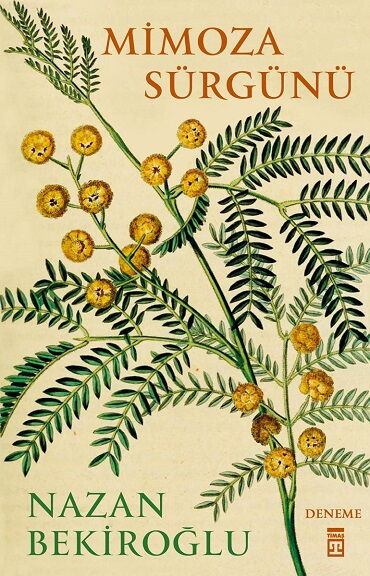 MİMOZA SÜRGÜNÜ   