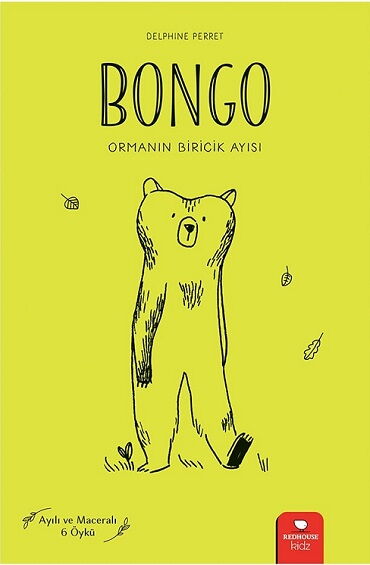 BONGO ORMANIN BİRİCİK AYISI