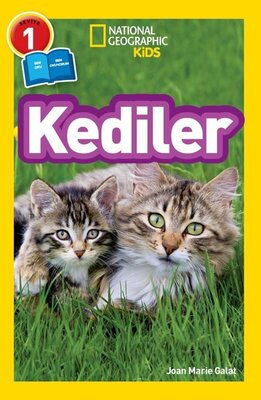 KEDİLER