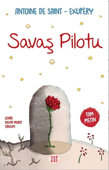 SAVAŞ PİLOTU