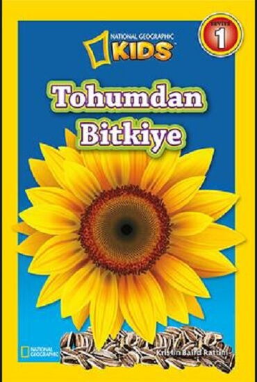 TOHUMDAN BİTKİYE