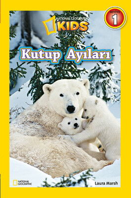 KUTUP AYILARI