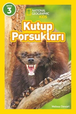 KUTUP PORSUKLARI
