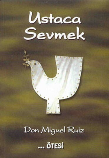 USTACA SEVMEK