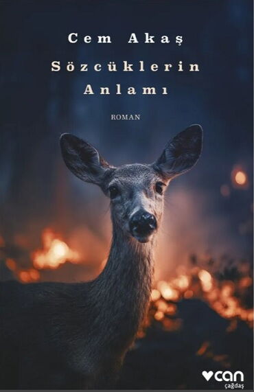 SÖZCÜKLERİN ANLAMI