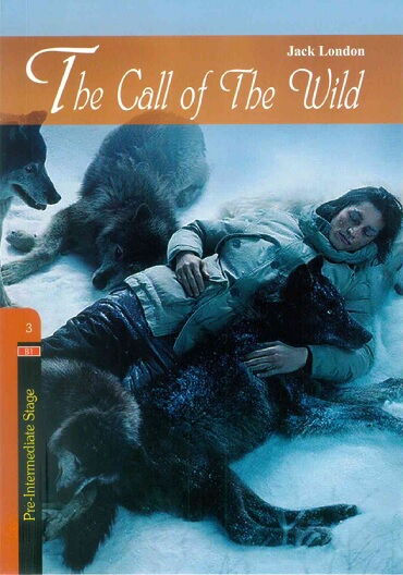 STAGE 3 THE CALL OF THE WİLD