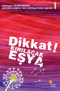 DİKKAT KIRILACAK EŞYA #1